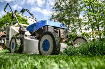 Lawn-Care Scams