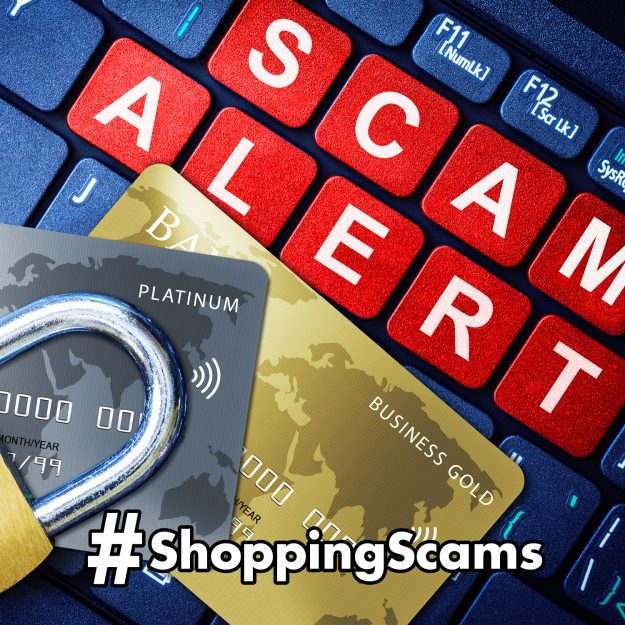 Don’t Get Caught in a Shopping Scam!