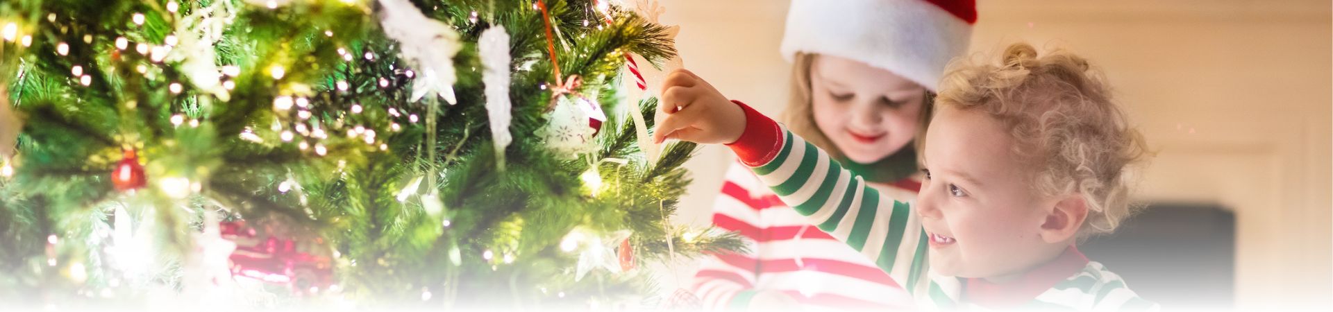 Holiday Loans web header